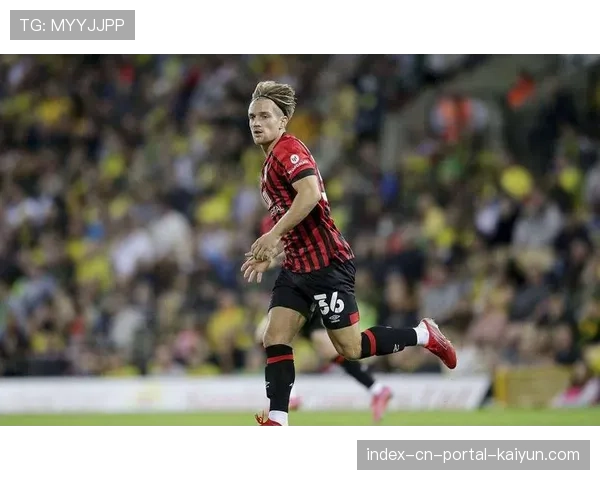 伯恩茅斯11月至12月未取胜 却仍只落后第六名5分